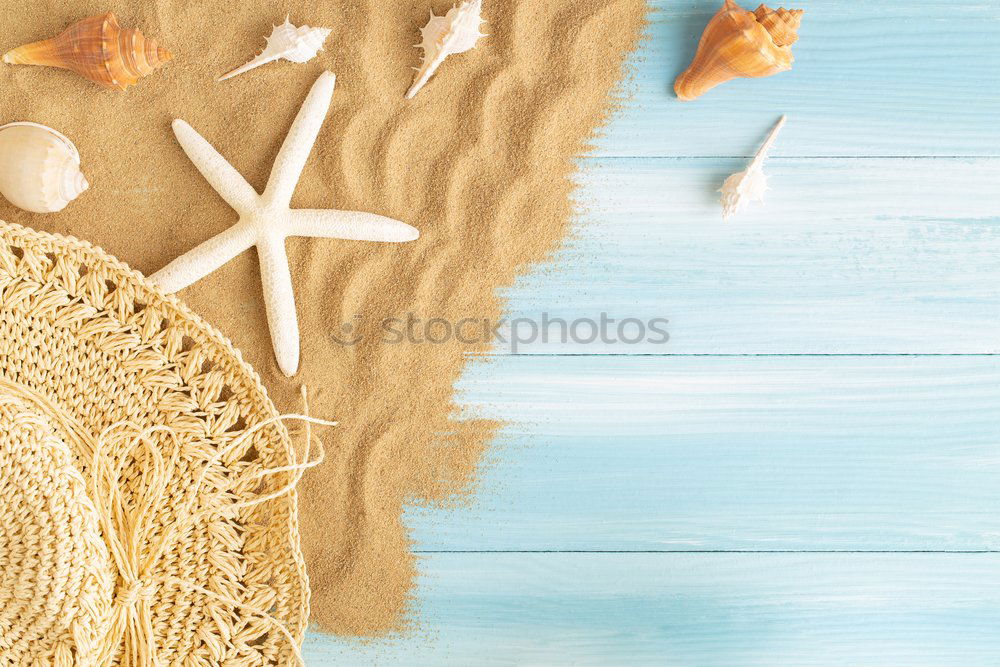 Similar – Straw hat with sunglasses and tropical leaves