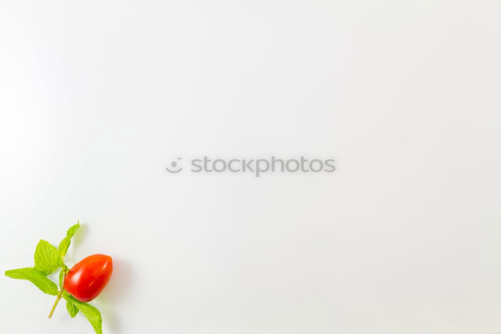 Similar – Image, Stock Photo Creative layout made of Christmas decorations.