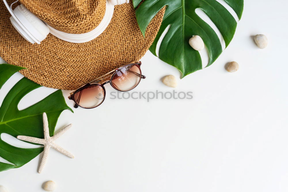 Similar – Eyeglasses and green palm leaves