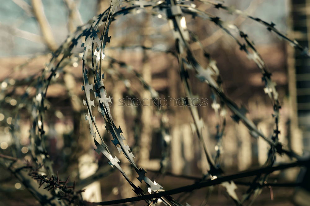 Similar – Image, Stock Photo walk detail Fence