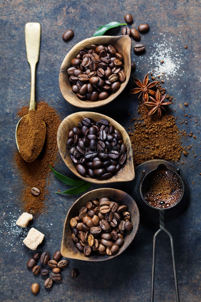 Similar – Image, Stock Photo Pile of dry juniper berries