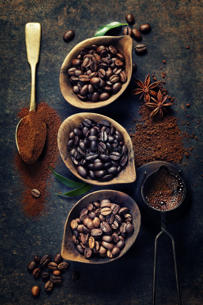 Similar – Image, Stock Photo Pile of dry juniper berries