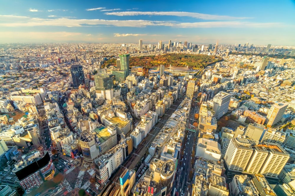 Similar – Image, Stock Photo Paris Sunset