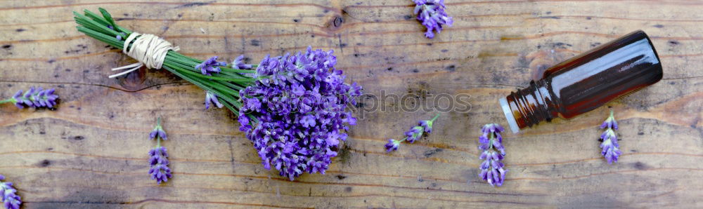 Similar – Gift and bouquet of lilacs on a wooden table