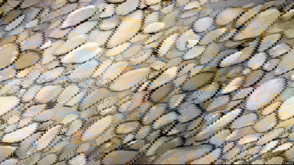 Similar – Image, Stock Photo pebble Pebble Gravel Stone
