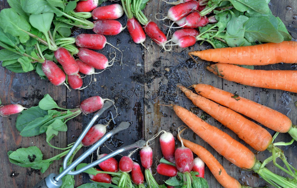 Similar – Image, Stock Photo Carrots and Jerusalem artichoke in the organic box
