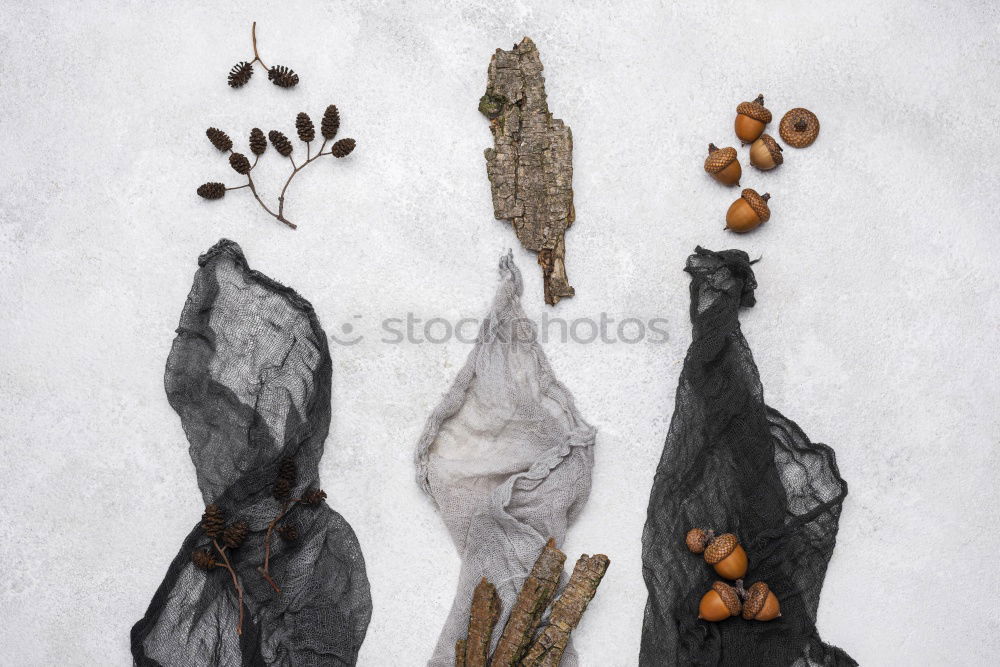 Similar – Image, Stock Photo Herbarium