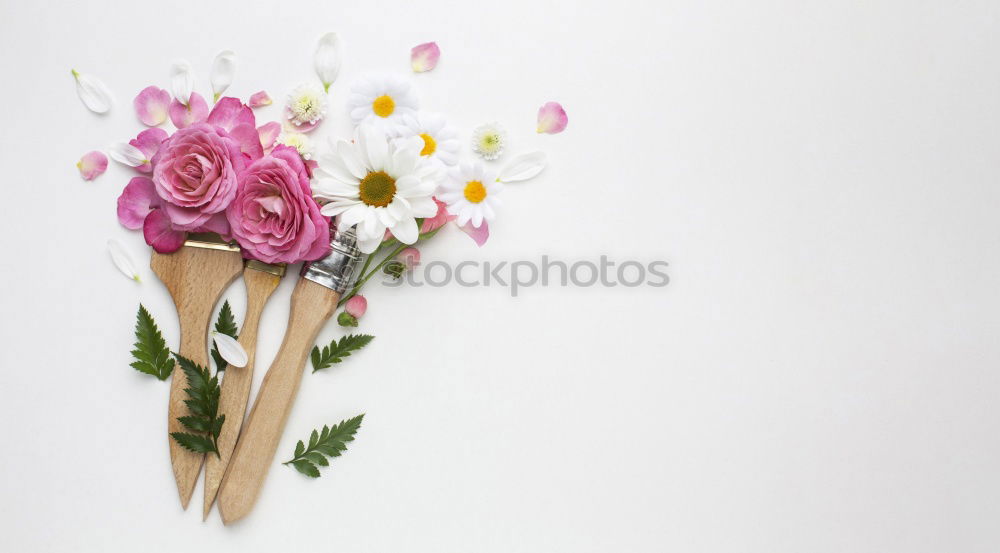 Similar – Beautiful ranunculus flowers on light blue background