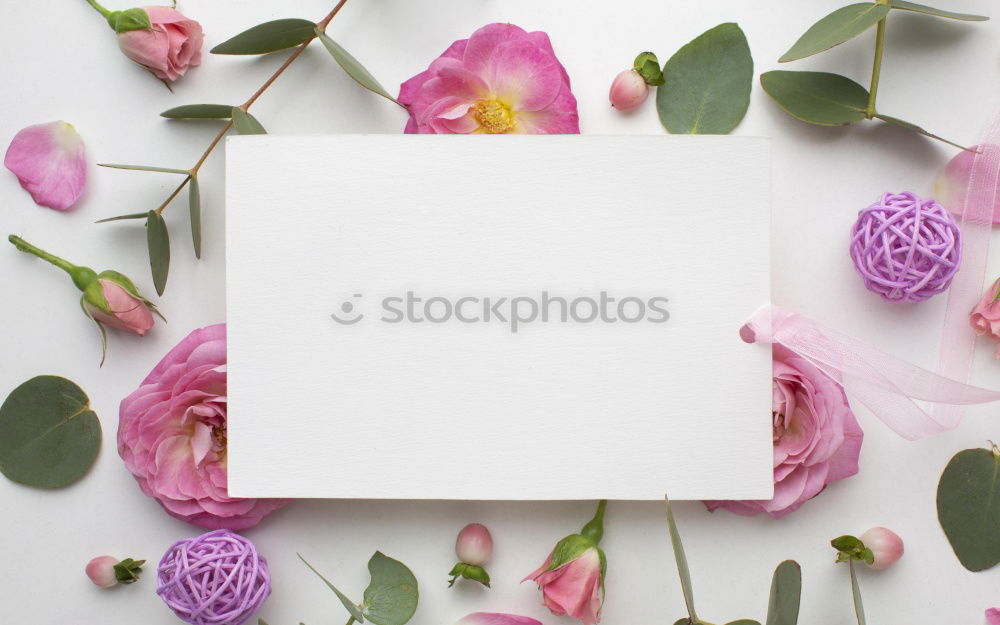 Beautiful flowers, with empty greeting card