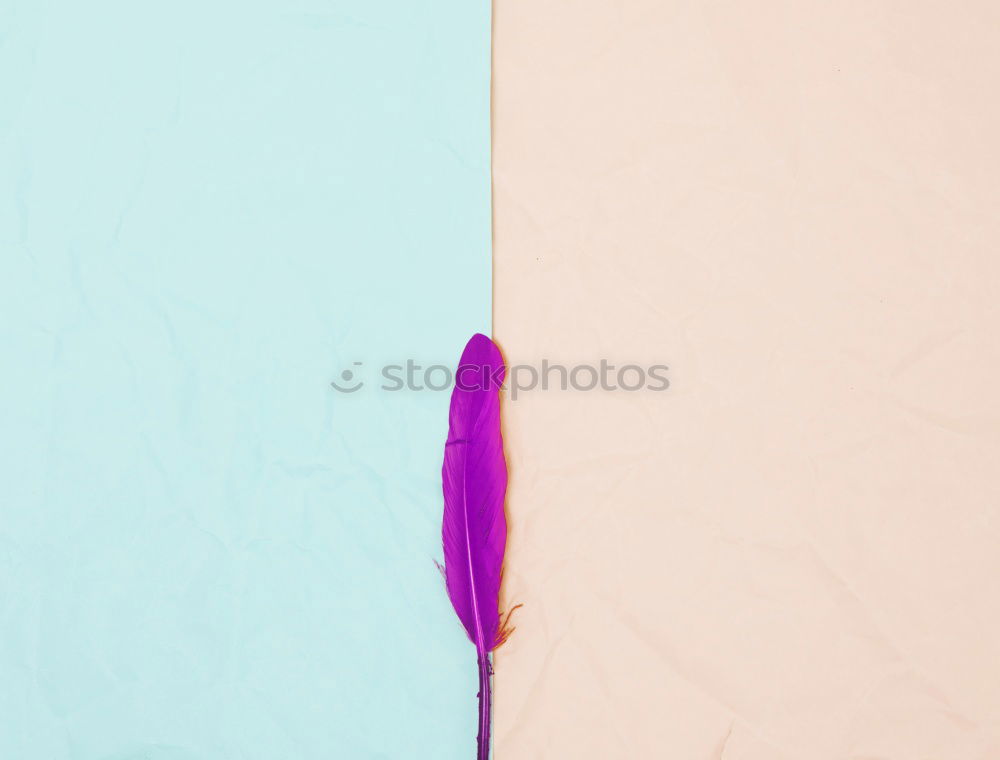 Similar – Turquoise tropical leaves and flowers background. Paper tropical leaves on pink background. Creative composing in pastel color with copy space for your design. Banner or template