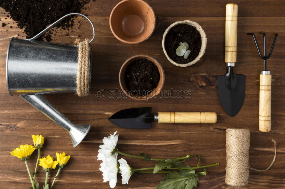 Similar – Image, Stock Photo Summer flowers, shovel and flower pot