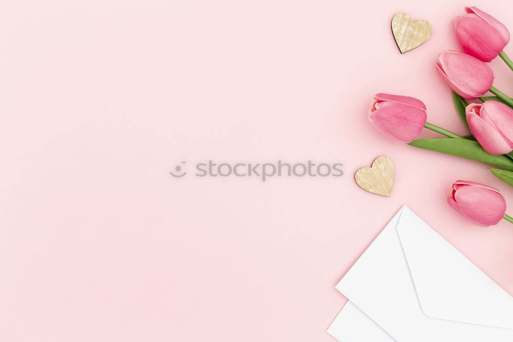 Similar – Flowers and envelope on a light pink background