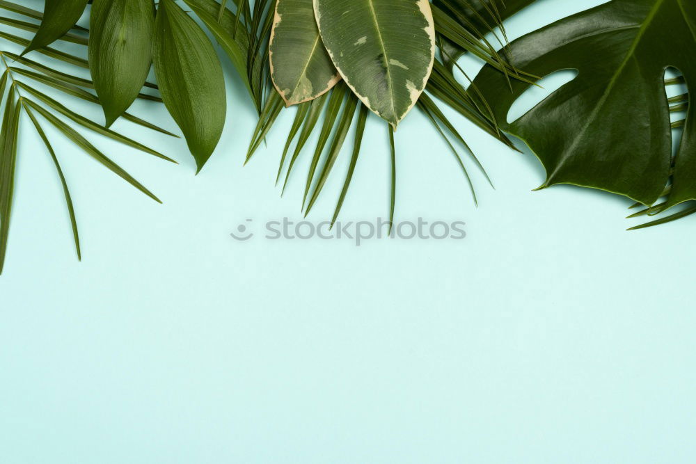 Similar – Image, Stock Photo the way to the beach at 48°C