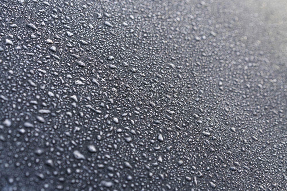 Similar – Image, Stock Photo Morning Dew II Environment