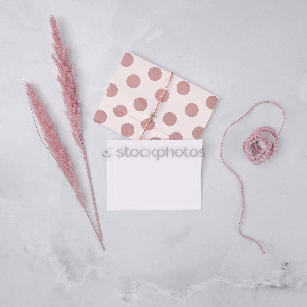 Similar – Image, Stock Photo Gift packaging objects with flowers