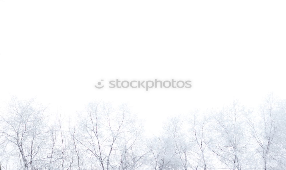 Similar – Image, Stock Photo snow blind Environment