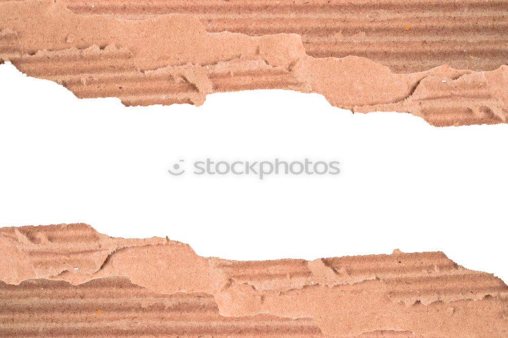 Similar – Image, Stock Photo # A # Poor pig! Art