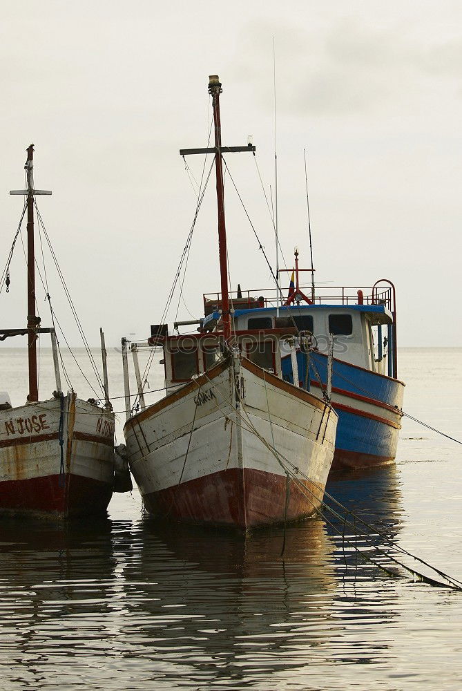 Similar – Foto Bild von der Rolle sein Fisch