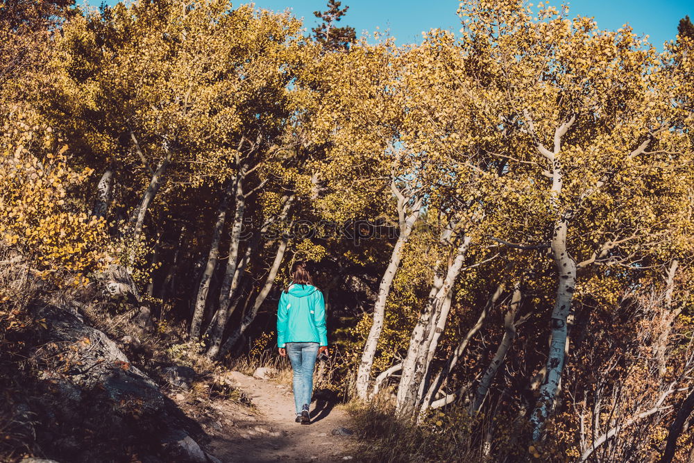 Similar – Image, Stock Photo Boy packing his clothes to backpack on trail