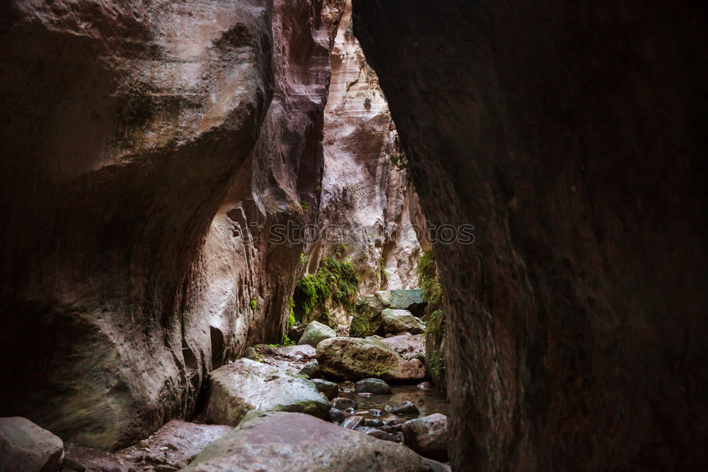Foto Bild inside out Natur