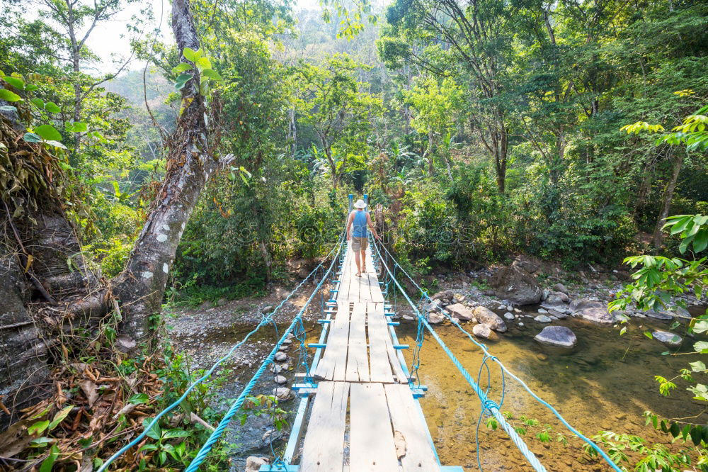 Similar – Woman walking on bridge