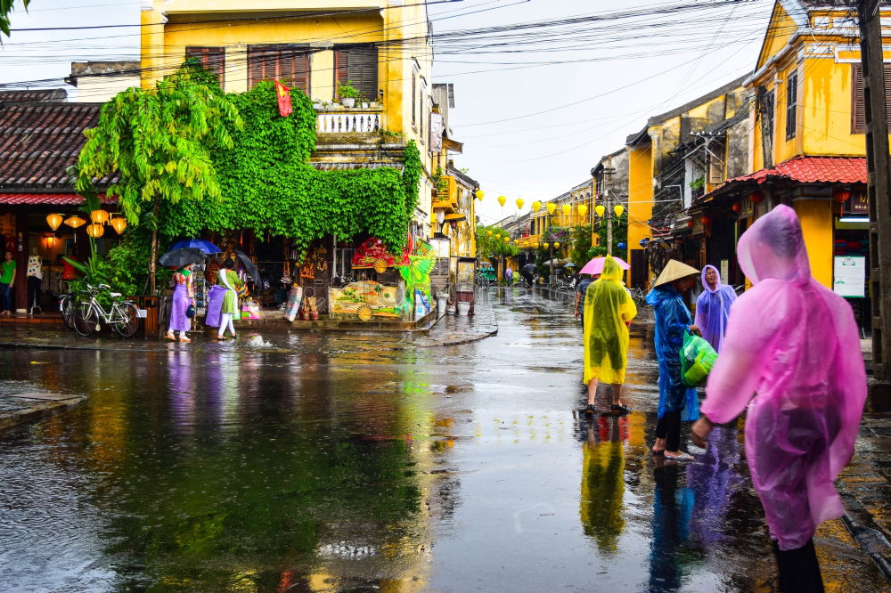 Similar – Image, Stock Photo Midday sun on the streets of Cienfuegos