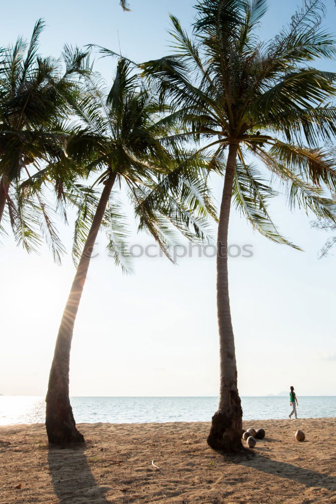 Similar – Image, Stock Photo just take a breath,…