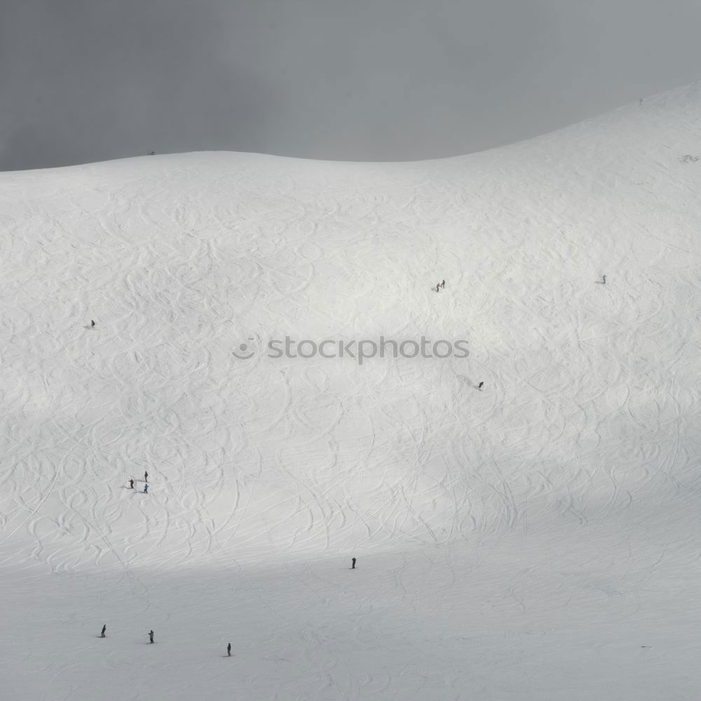 Similar – Image, Stock Photo Alone in white Landscape