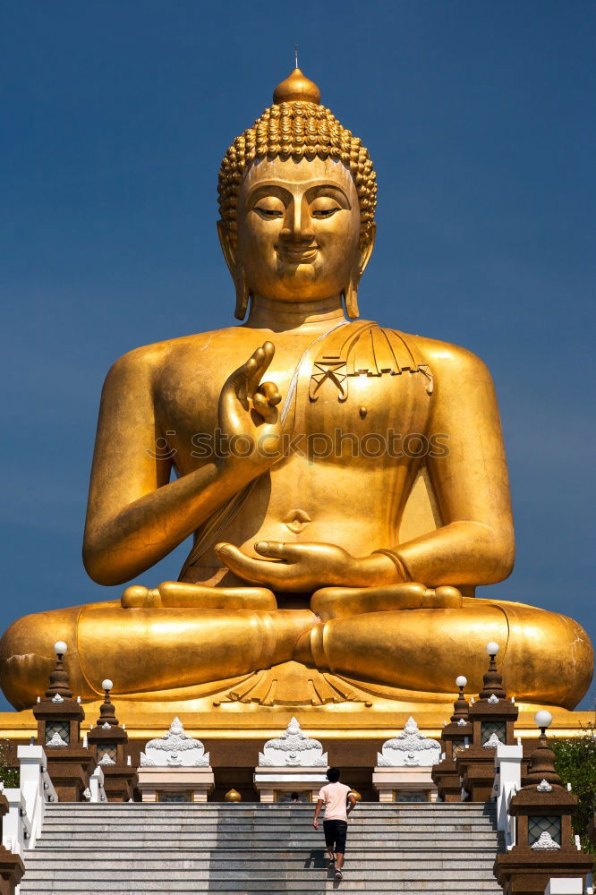 Similar – Image, Stock Photo Buddha Safari Body 1