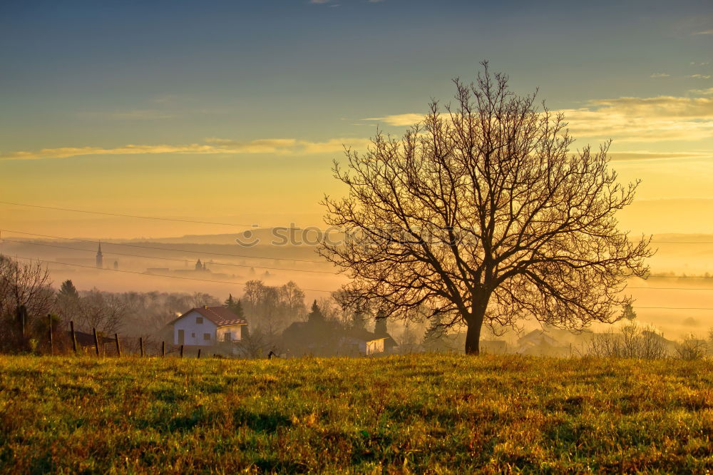 Similar – Tower of rural church in misty autumn colorful morning