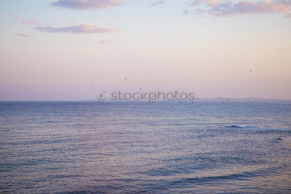 Similar – Image, Stock Photo mudflat side Well-being