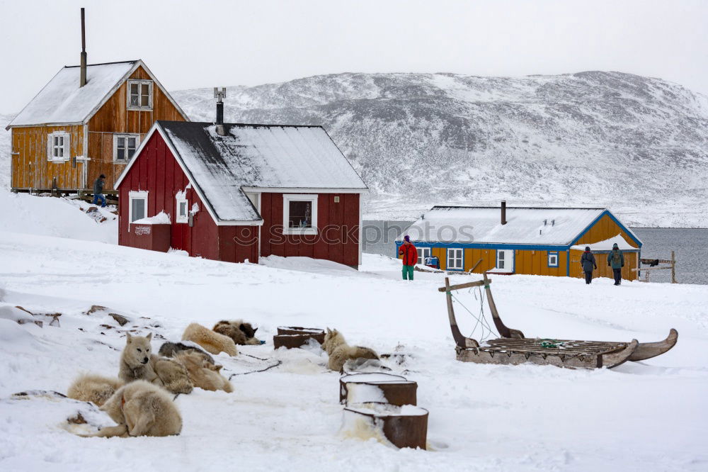 Similar – Image, Stock Photo Longyearbyen church