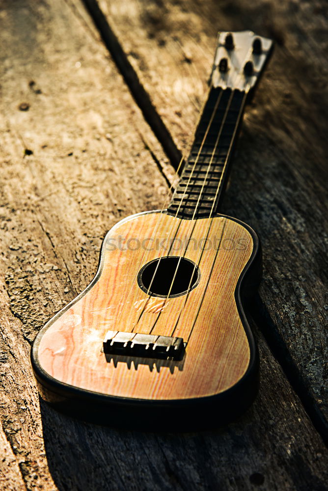 Similar – Image, Stock Photo Ukulele Hawaiian small guitar music instrument at sunset closeup photo. Beige brown gold colour palette shot with ukulele lying on windowsill in soft natural light.