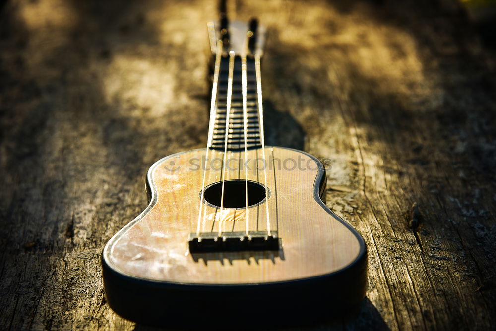 Similar – Six strings, six shadows.