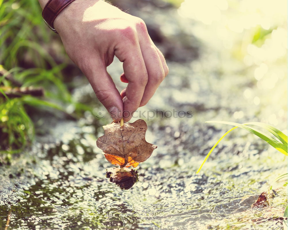 Similar – Image, Stock Photo clam digger