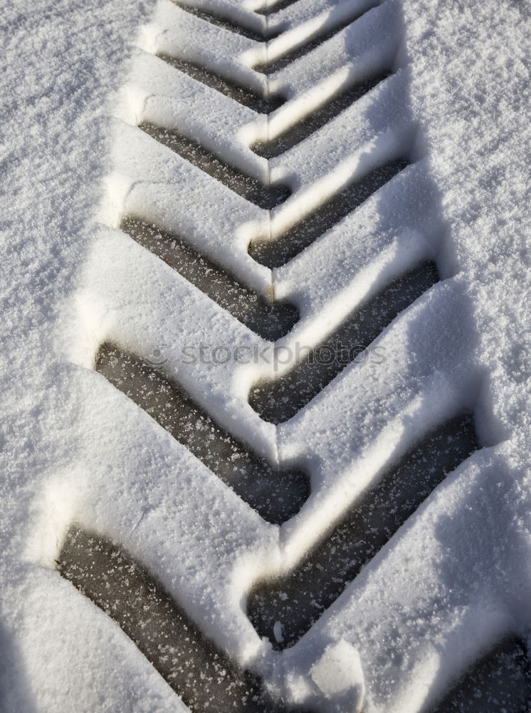 Image, Stock Photo EVERY DAMN MORNING Winter