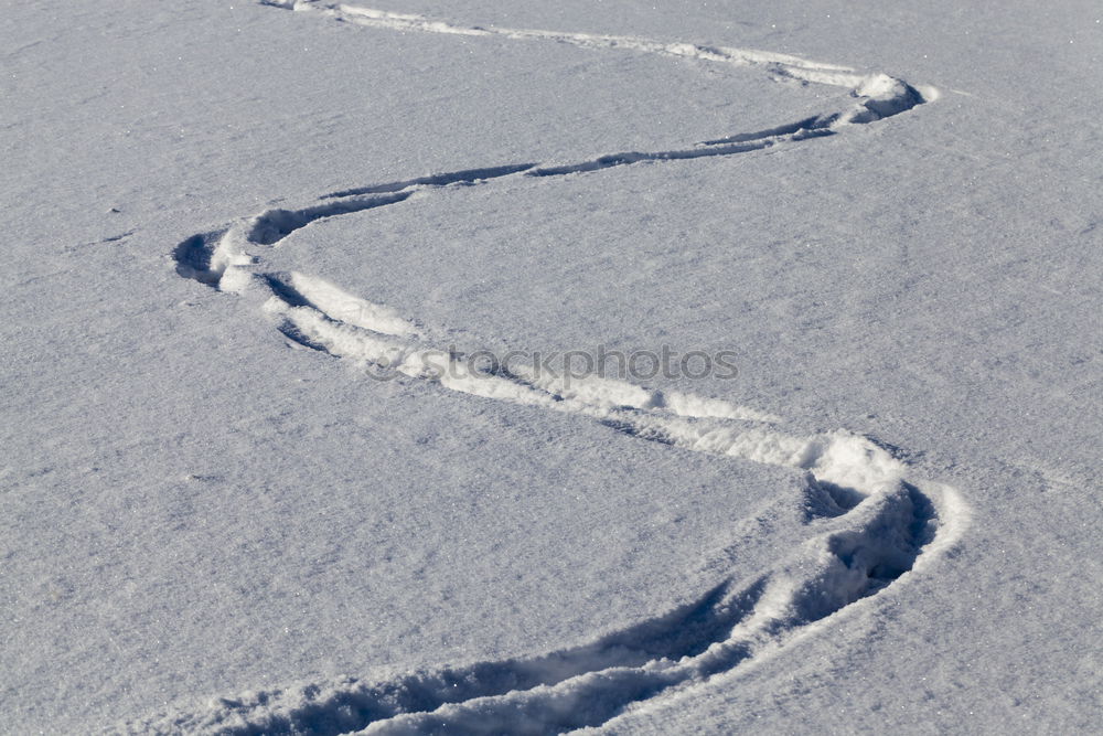 Similar – Foto Bild Winter Klima Klimawandel