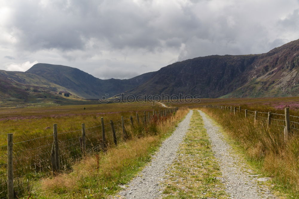 Fence on road in hills