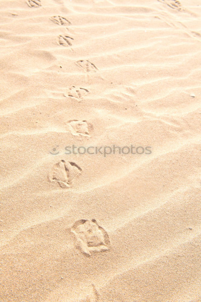 Similar – lines in sand Sand