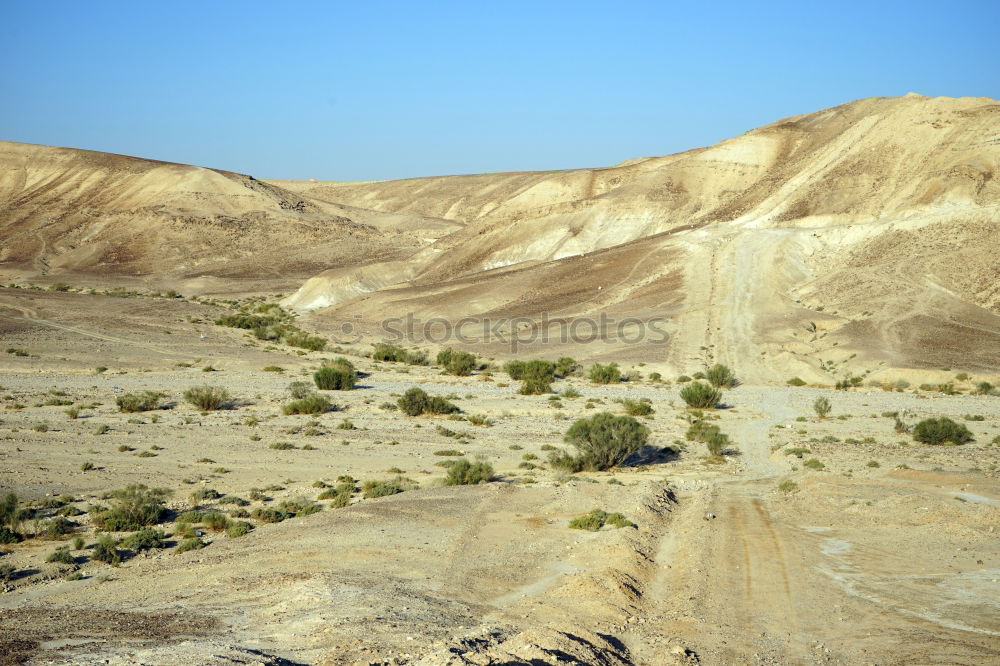 Similar – Image, Stock Photo Oasis Nature Landscape