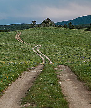 Similar – Image, Stock Photo A long way through the green