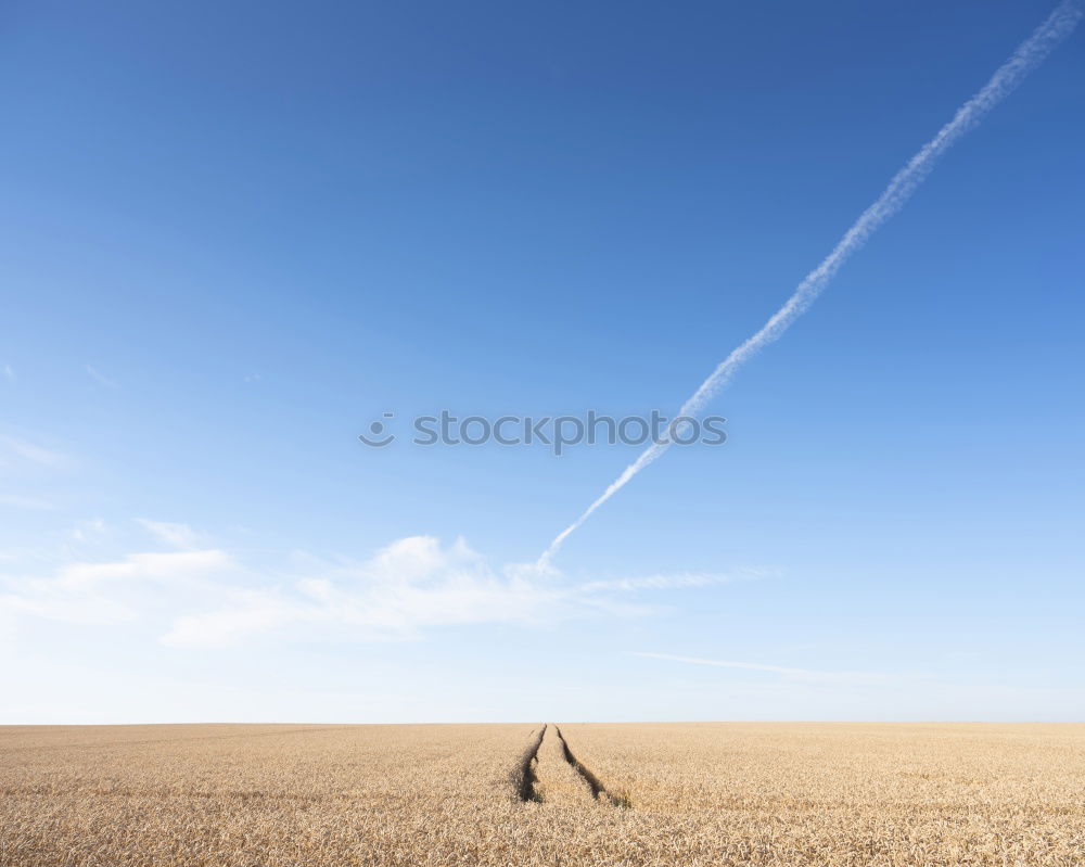 Similar – Image, Stock Photo Oktoberfest