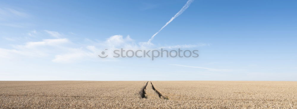 Similar – sich aus dem staub machen