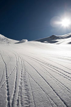 Similar – Wettlauf Hase gegen Mensch