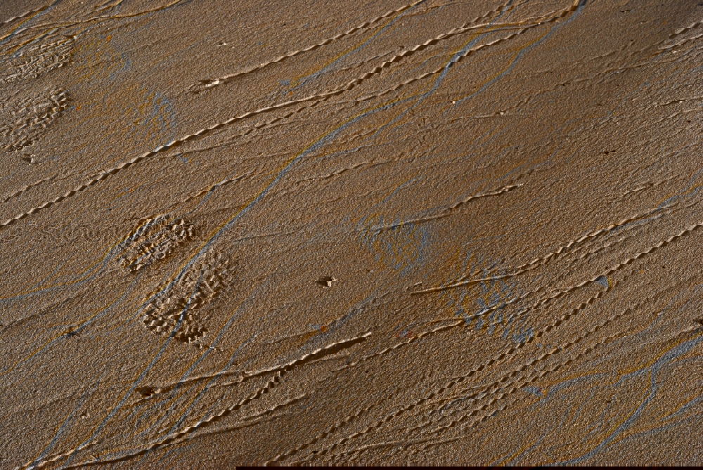 Similar – Image, Stock Photo Hot air, sandy beach.