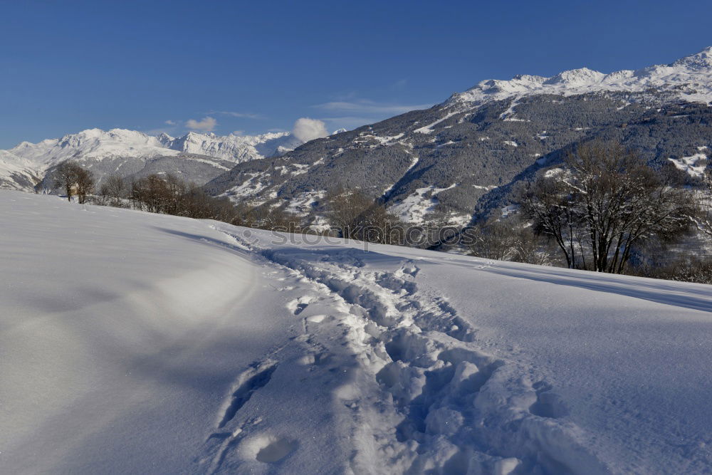 Bergab See Skipiste Baum