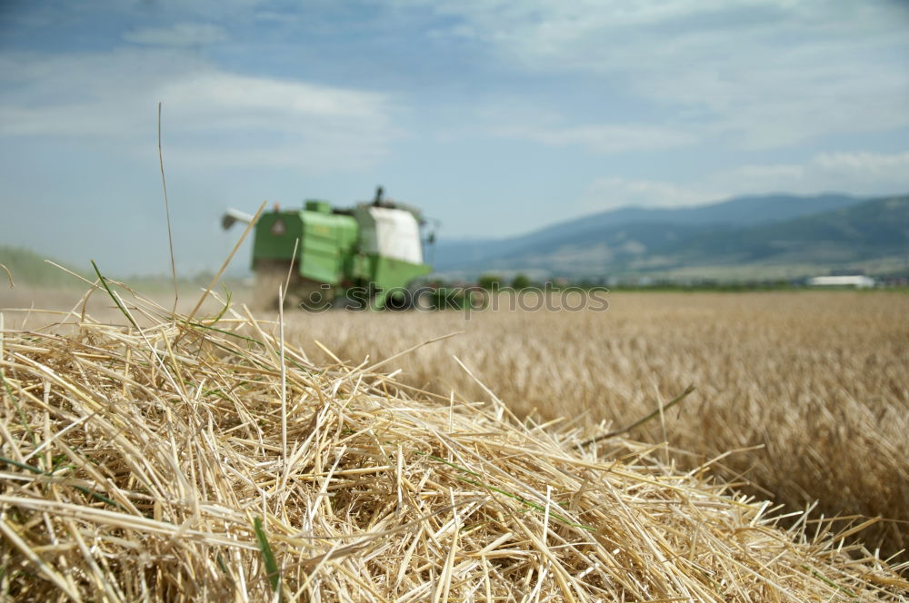 Similar – Loading harvest sacks on the tractor