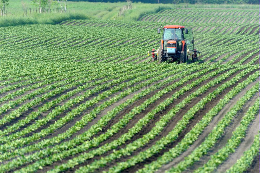 Image, Stock Photo Tractor 1 Field Farmer