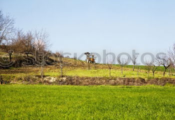 Similar – Image, Stock Photo Trallala the chimney sweep is there I