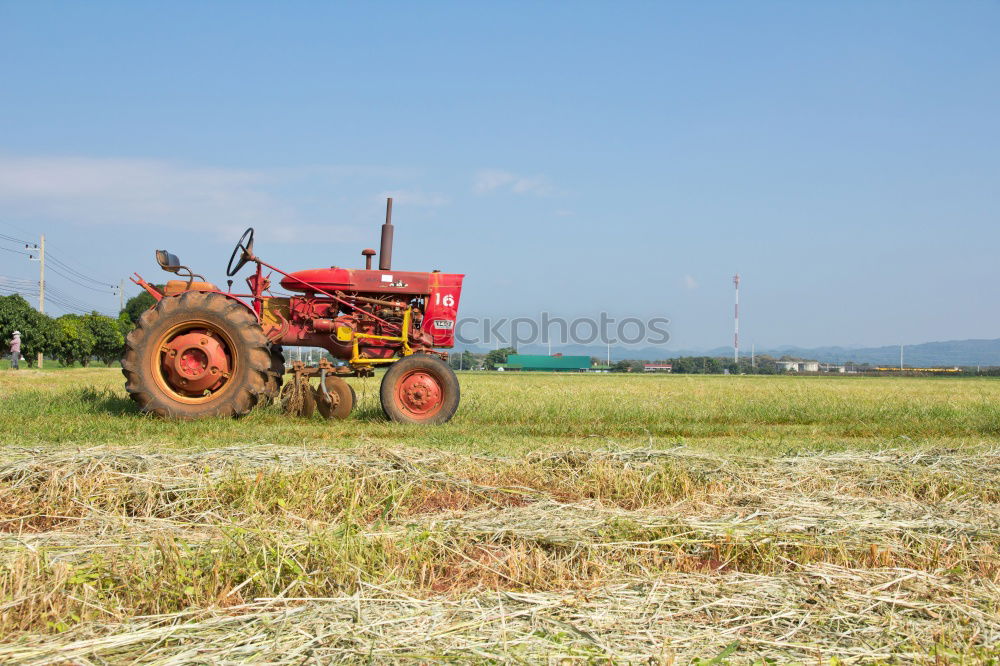Similar – Image, Stock Photo bulldog Tractor